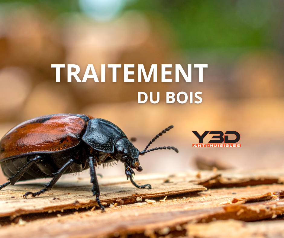 Traitement de charpente à Grasse