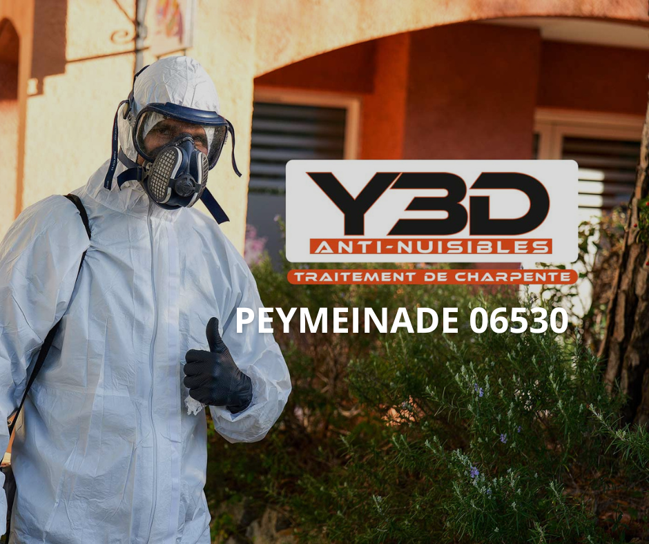 Traitement charpente Peymeinade 06530