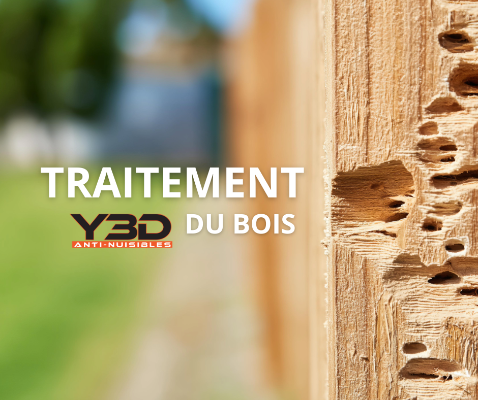 Traitement charpente Antibes